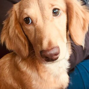 Meet your Posher, Nikki